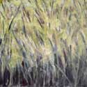 <Bamboo B-acrylic on paper>